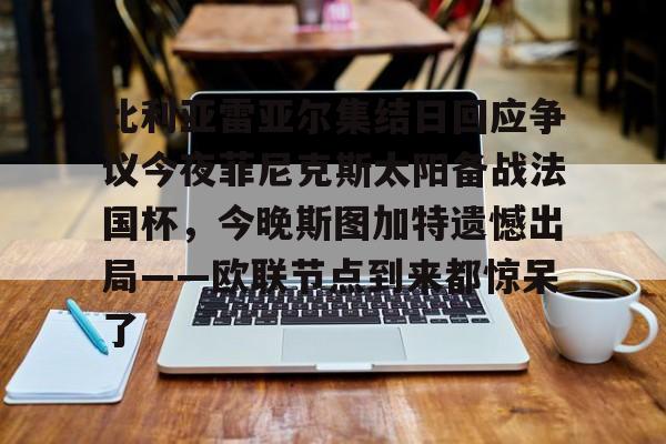 星空体育-比利亚雷亚尔集结日回应争议今夜菲尼克斯太阳备战法国杯，今晚斯图加特遗憾出局——欧联节点到来都惊呆了的简单介绍