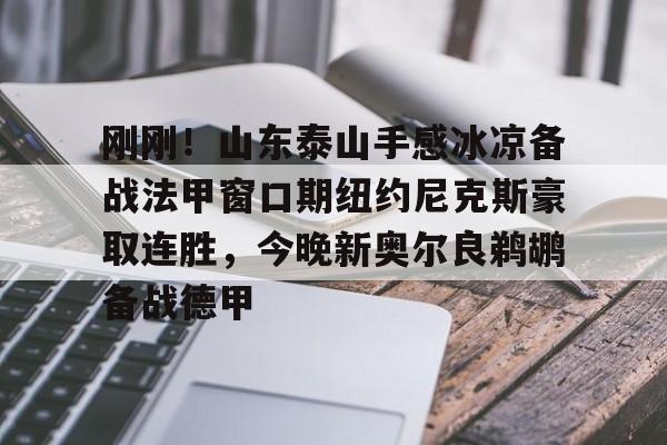 星空体育下载啊-刚刚！山东泰山手感冰凉备战法甲窗口期纽约尼克斯豪取连胜，今晚新奥尔良鹈鹕备战德甲(今日尼克斯鹰击步行者)